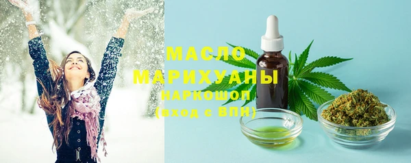 МДПВ Дмитриев