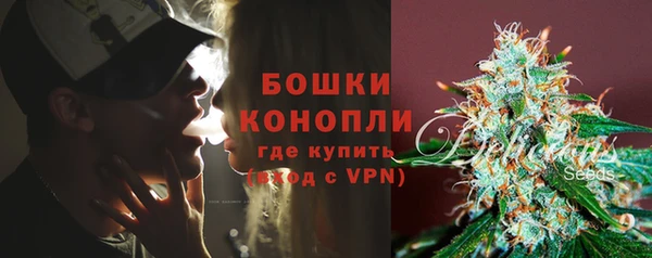 МДПВ Дмитриев