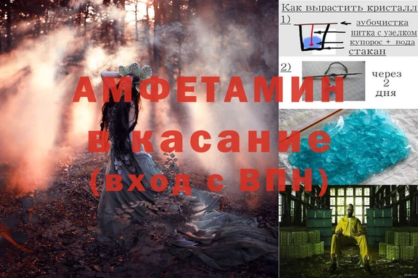 МДПВ Дмитриев