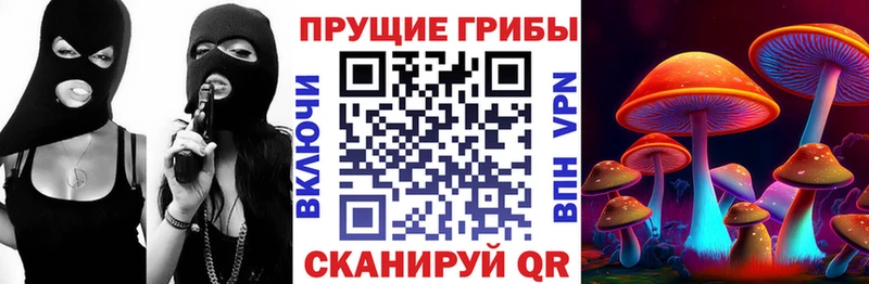 darknet как зайти  Невель  Галлюциногенные грибы мицелий  цены наркотик 